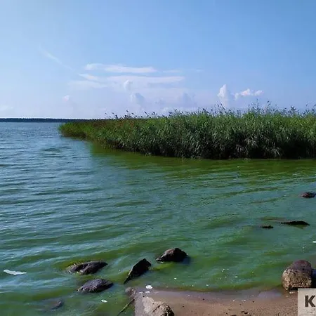 Near The Lake,