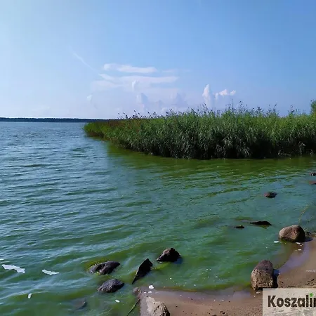 Near The Lake, Osieki (Koszalin)